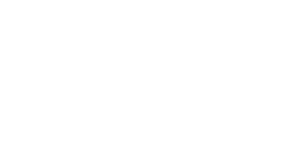 FFCC - Side By Side-Stripe Shield-White